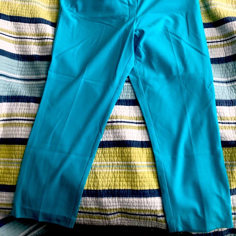 Petal Blue New York & Co. Capris